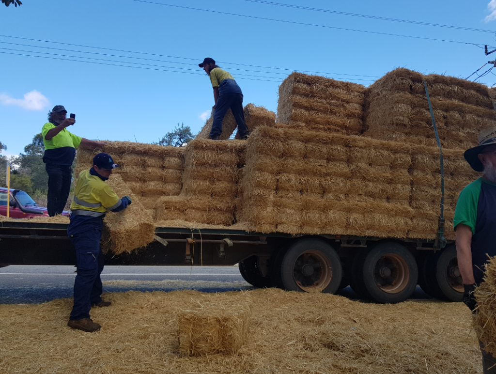 Bale delivery, part 1